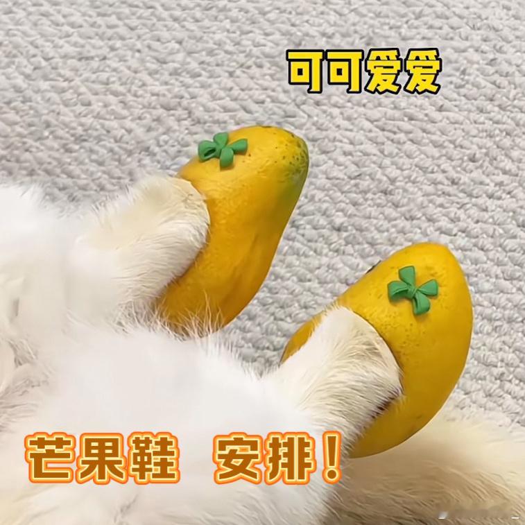 一个芒果炸出多少兴趣邪修当芒果遇上“兴趣邪修”：有人雕出龙凤呈祥，有人做成分子料