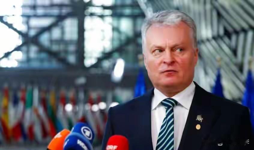 立陶宛的文化形象，远非旅游手册上“波罗的海明珠”那般单纯浪漫。它是一场持续了数百