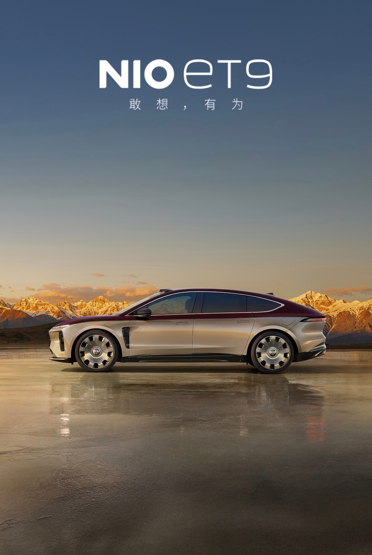 还有不到 30 天就过年了，新晋汽车宝贝要开始选回村儿开什么车回去了。去年开的蔚