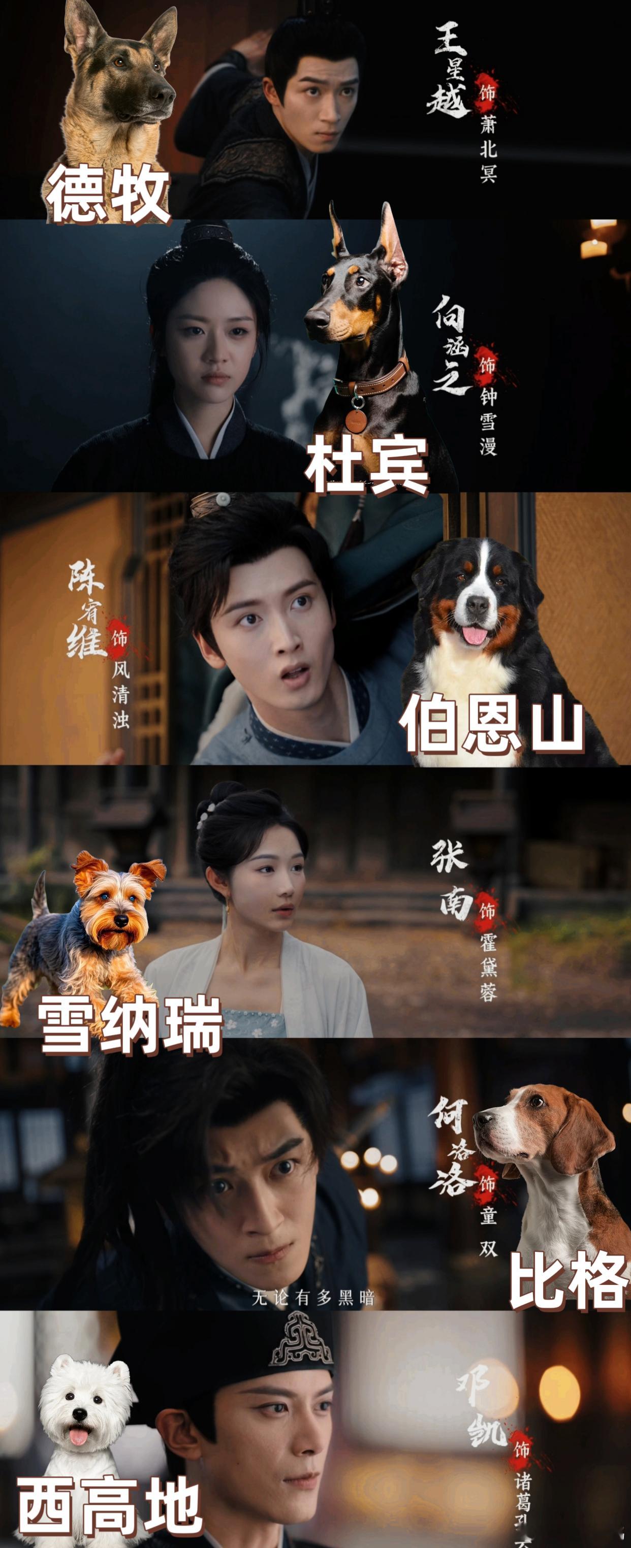 内娱最全面的狗塑型群像定风波谁看《定风波》的狗塑群像互动不破防啊！ ​​​