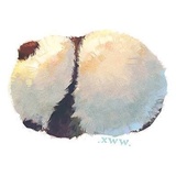 桃美聚聚娱乐