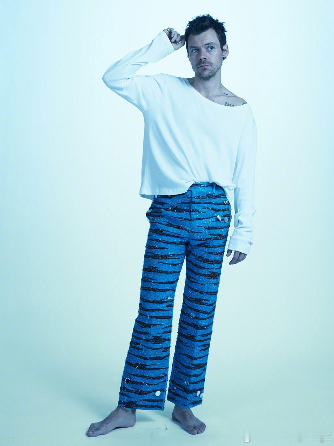 Harry Styles 身着 Miu Miu 登上 W 新期 “The Fas