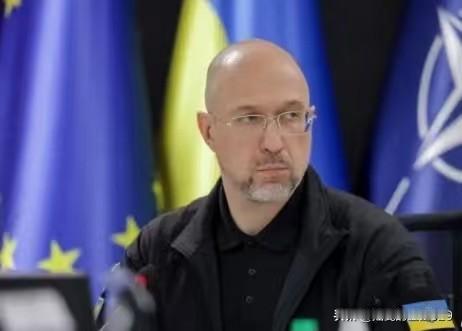 2000多块太阳能电池板，570万欧元的援助——立陶宛政府计划在未来几天内做出决