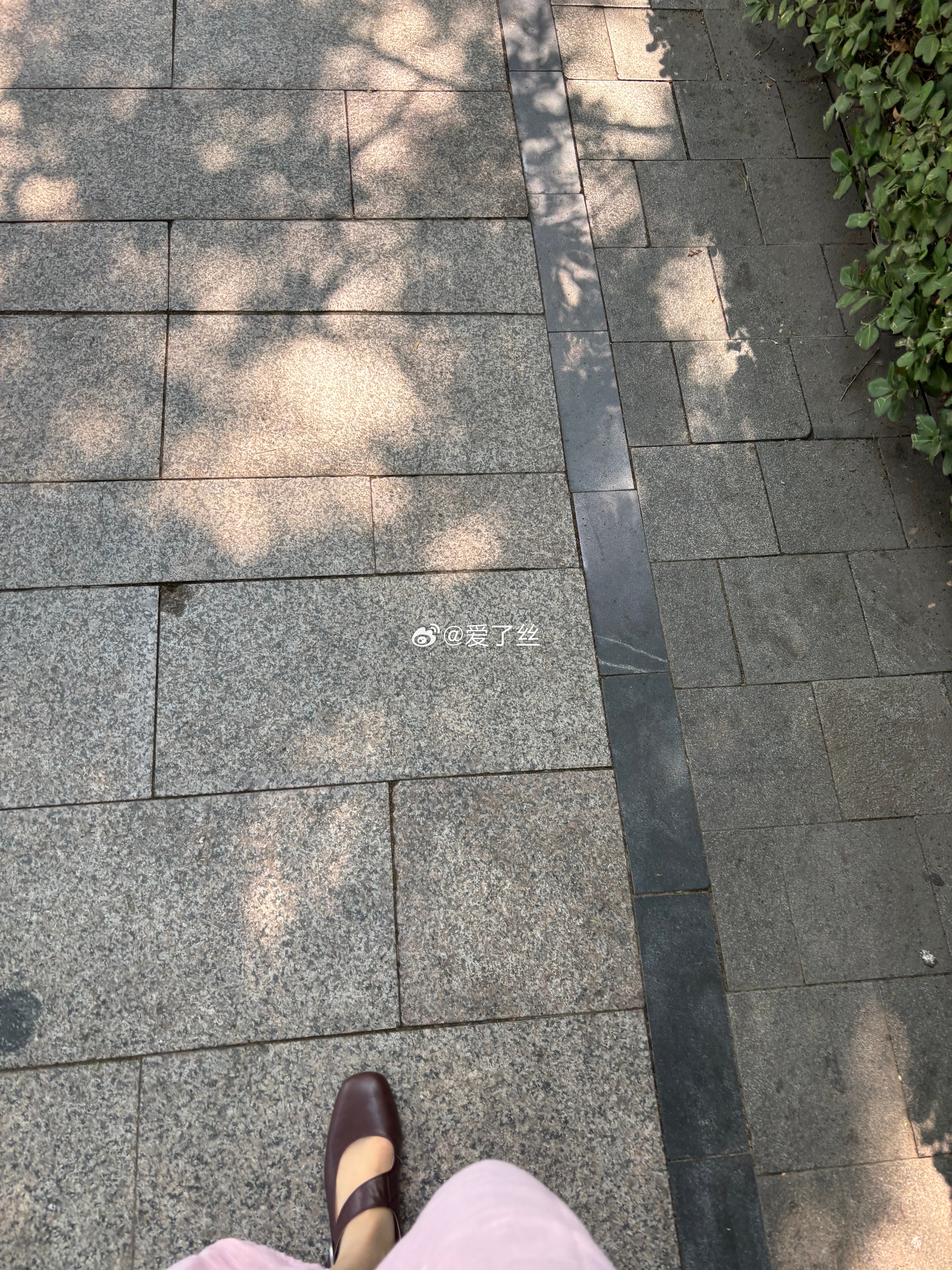 周一的ootd在公园~ ​​​