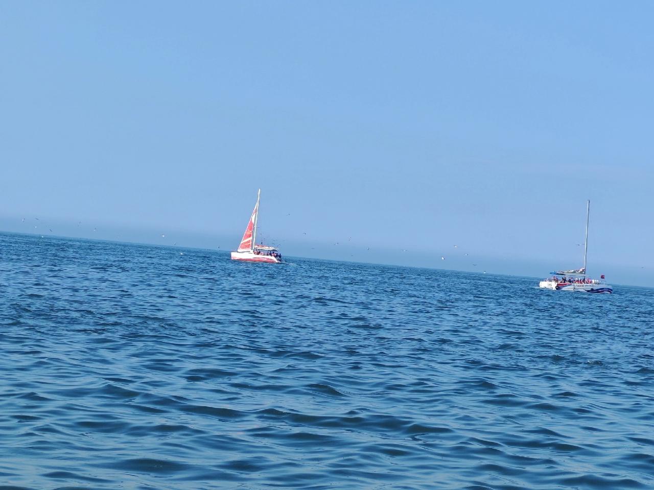 随手记录威海的大海！之前去威海，在金海湾栈桥到海水浴场那片海面，一群海鸥如白色精