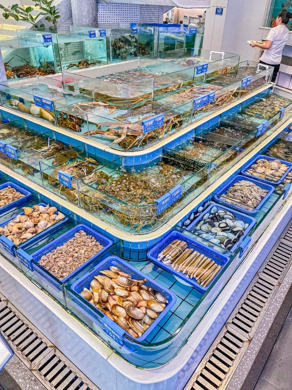 服了‼️真的不需要这么低调