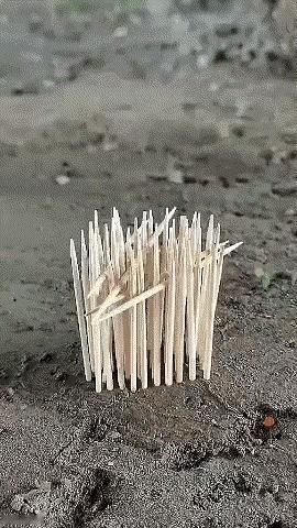 就那么几根牙签真的能够把虾烤熟吗？我怎么不信？