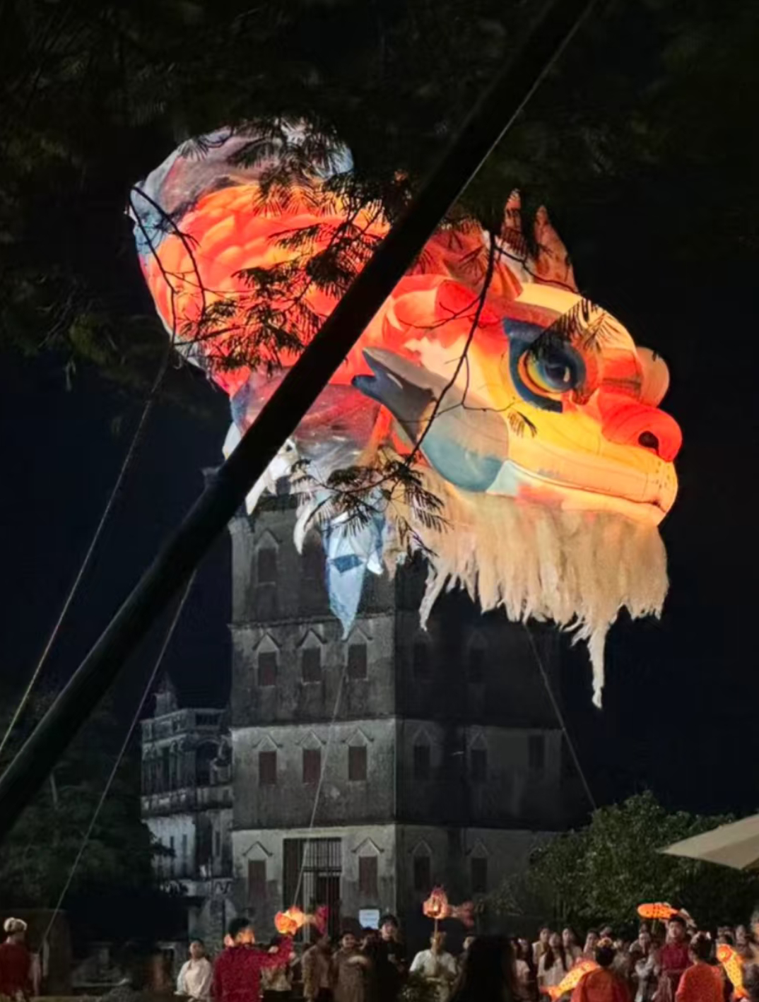 都请出鳌鱼实物了，太牛逼了雾里青 