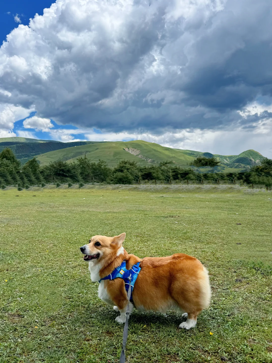 晴空万里突然暴风雨