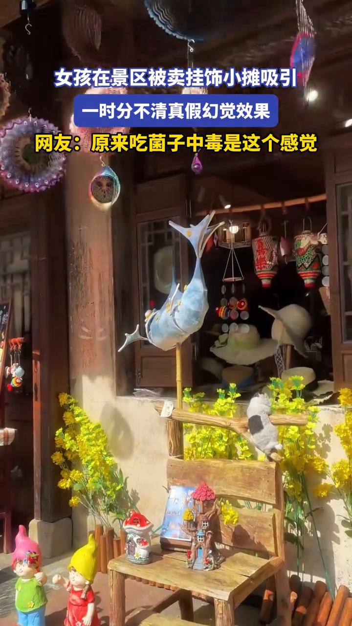 女孩在景区被卖挂饰小摊吸引，一时分不清真假幻觉效果。
来源：灿灿的夏天。
网友：