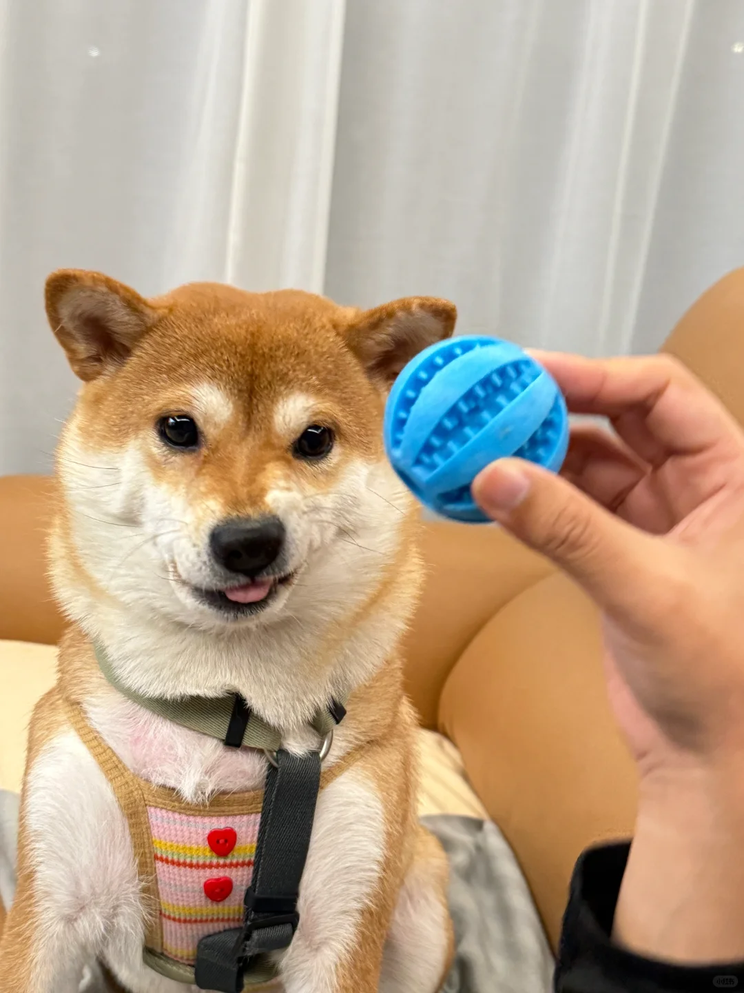 这算小发雷霆吗