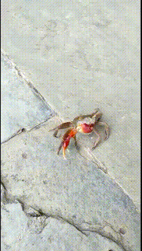 你咋如此想不开
是买股票了吗？