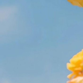 每日一善 阳光信用每日一善 站在自己热爱的世界里，闪闪发亮。 要善良，要勇敢，要