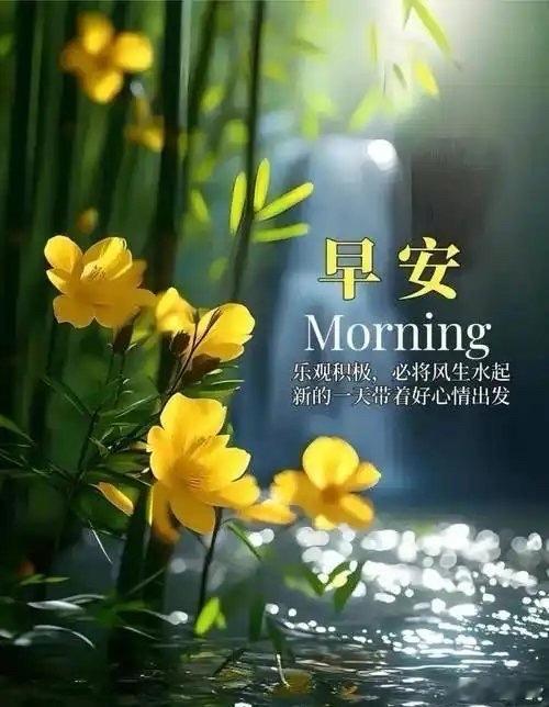 破晓迎新晨，七月四日周六，解锁一整月专属好运。放下心底焦虑，轻履从容赴前路，愿整