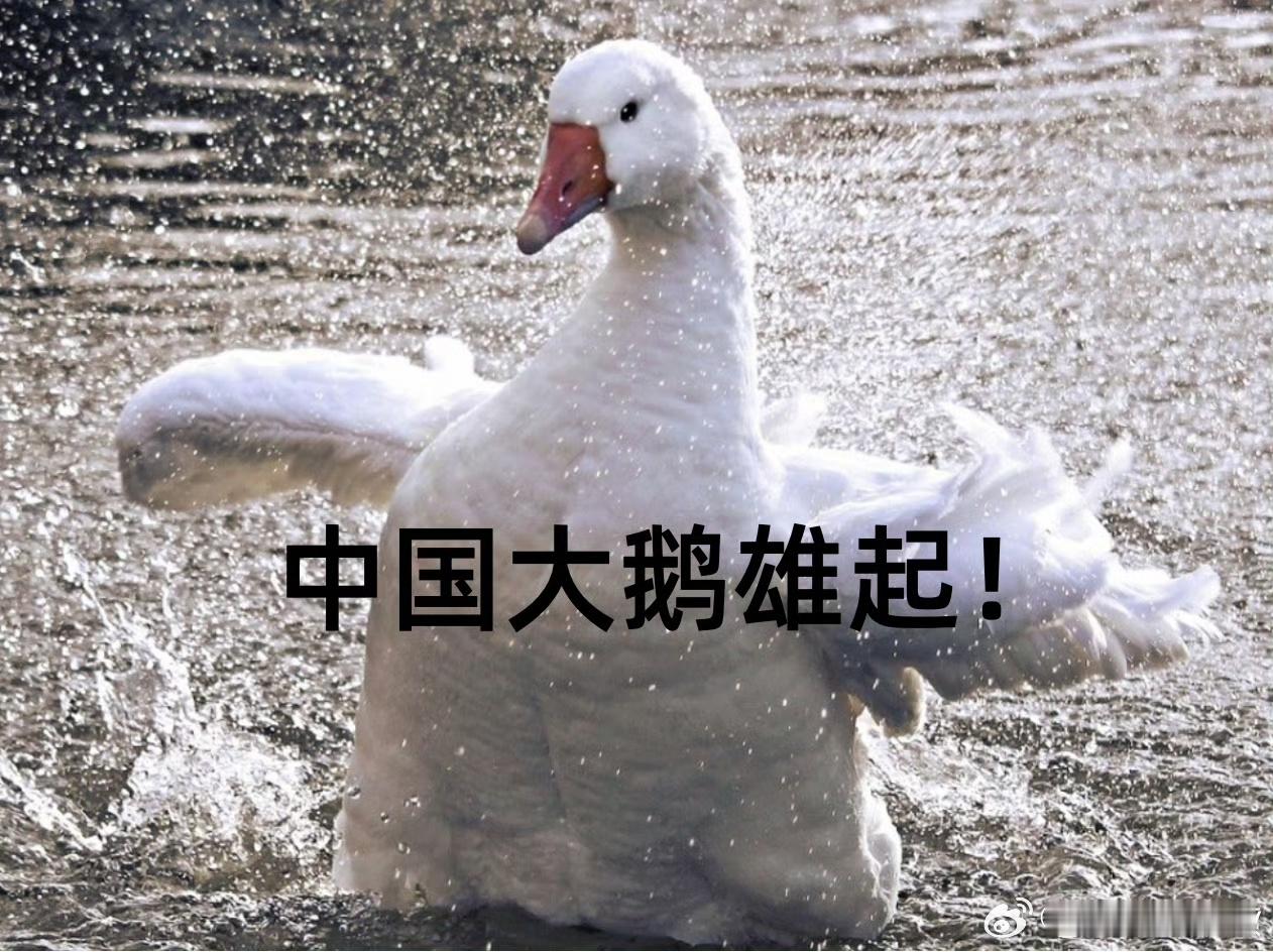 #中国大鹅嘴真严啊#本来以为是炖大鹅真好吃，没想到是羽绒服呀[鼓掌][鼓掌]现在