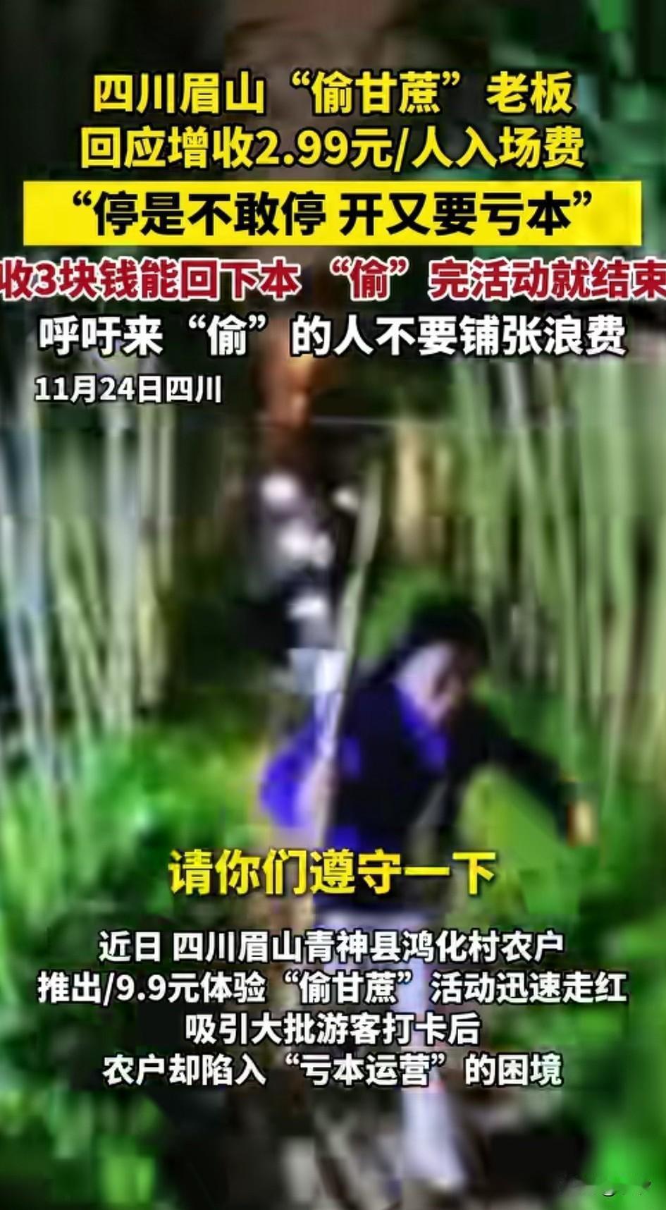 近日四川眉山偷甘蔗活动大火，
很多都纷纷赶来，
想体验一下偷甘蔗的快乐，
入场费