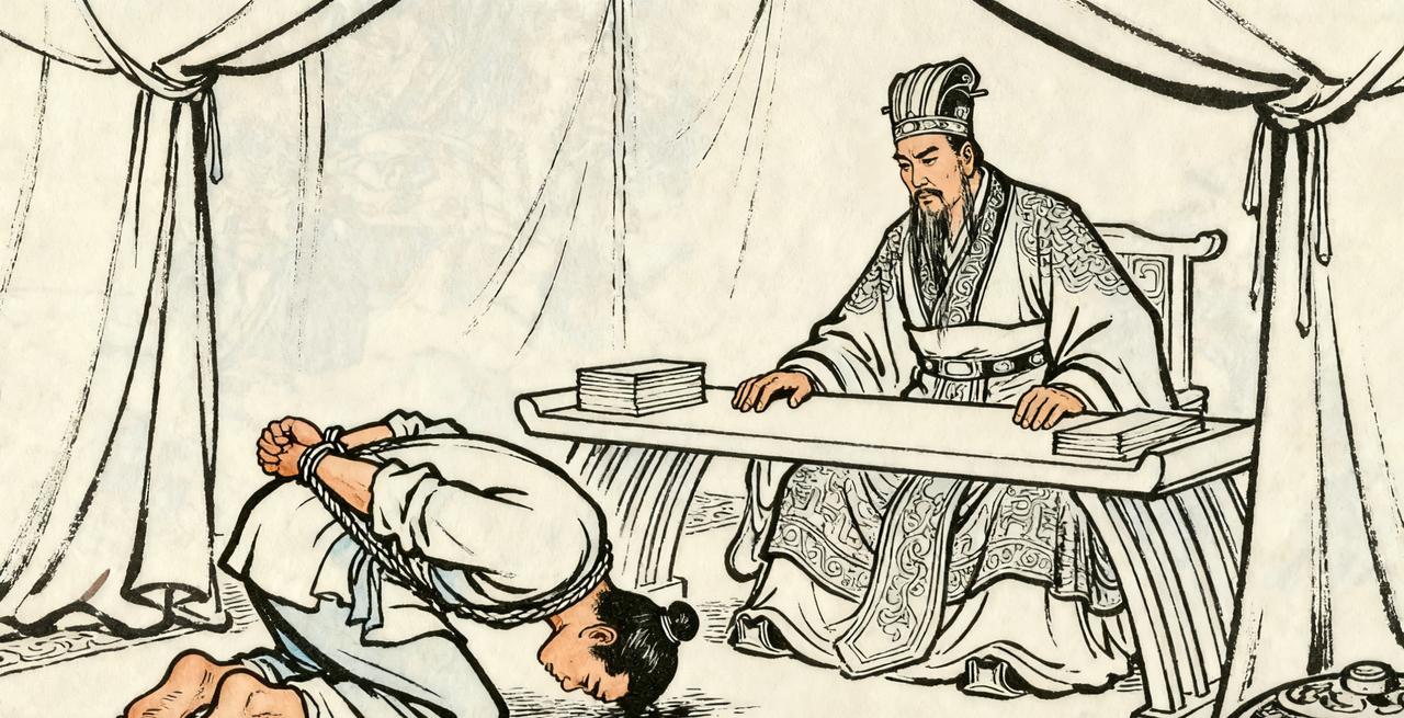 马谡是高参，出谋划策行，宏观叙事很牛。

但是，马谡没有临阵经验，不适合在一线。