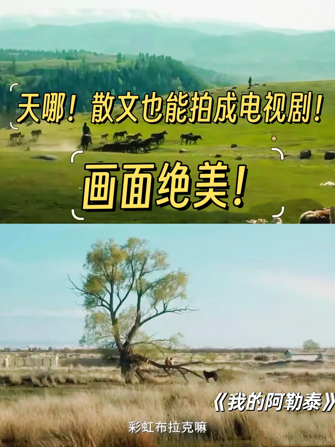 天呐‼️《我的阿勒泰》拍成电视剧了！绝美