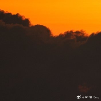 骑行，阳光透过树影洒在身上，瞬间觉得美好 ​​​