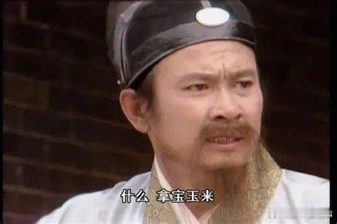 贾不假，白玉为堂金作马。贾宝玉养在深闺，两耳不闻窗外事，看见刘姥姥都新鲜；外头吃