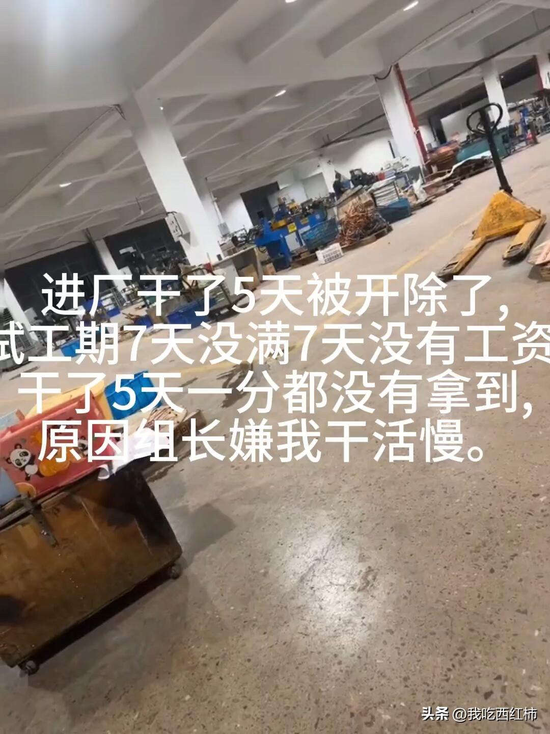 😭进厂5天被开，试工7天没满一分钱都拿不到？
家人们谁懂啊！刚踏进这个厂房的时