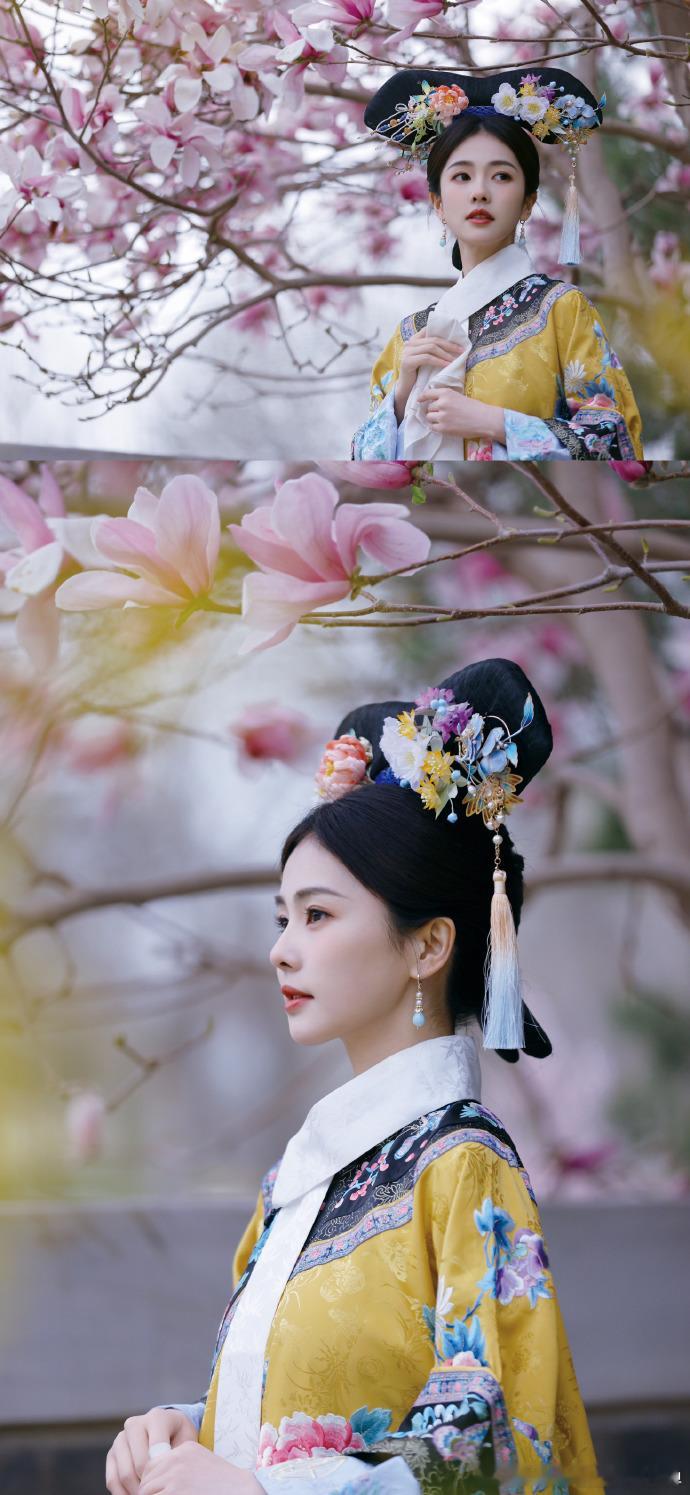 #白鹿和清宫造型的适配度##谁给白鹿递个清宫本子# 白鹿一旦换上清宫造型，那感觉