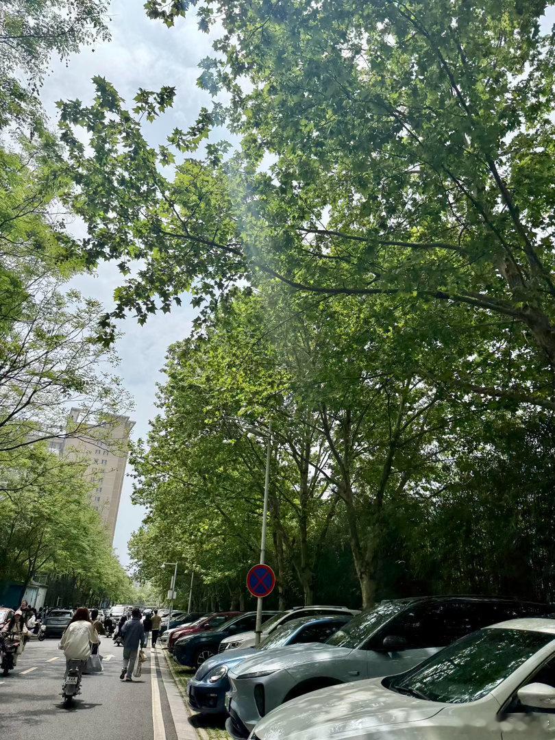vivo镜头下的青春闪闪发光在教学楼中庭摸鱼，被下午的阳光撞了个满怀。用vivo