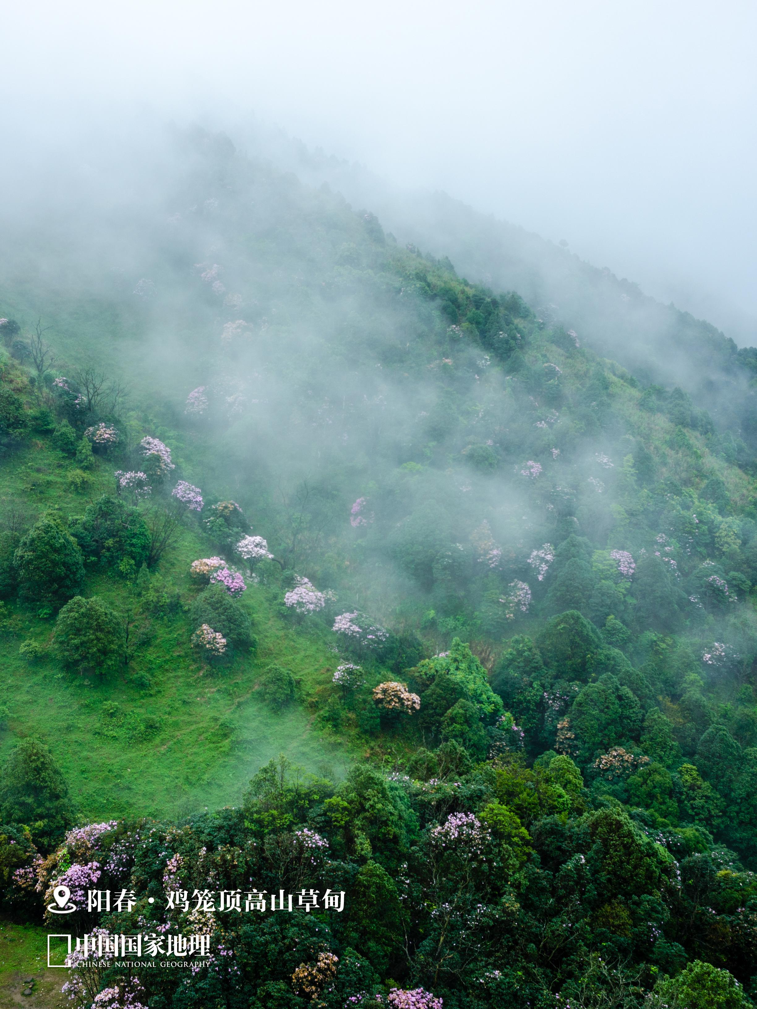 🍀以“春”为名的城市，到底有多浪漫？。🏞️在中国版图上，有一串被春...