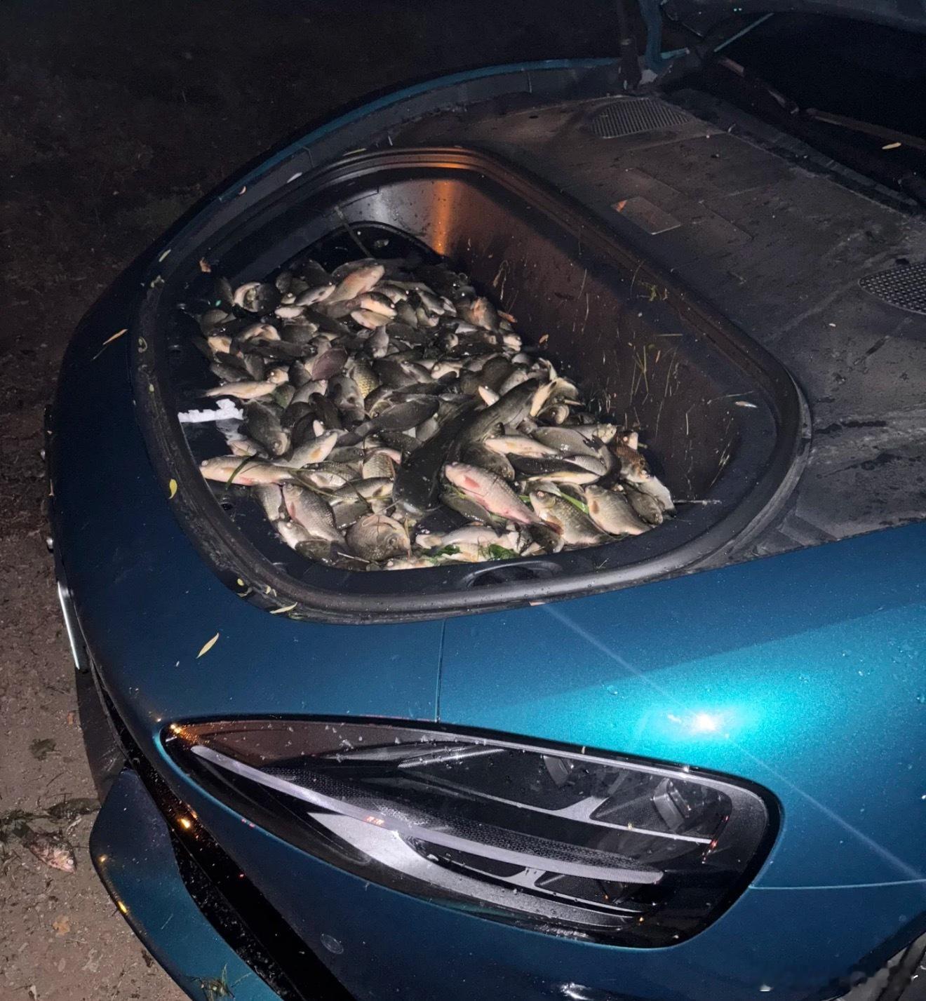 好好的车，被当成了装鱼🐟的箱子！只能说可惜了[苦涩] ​​​