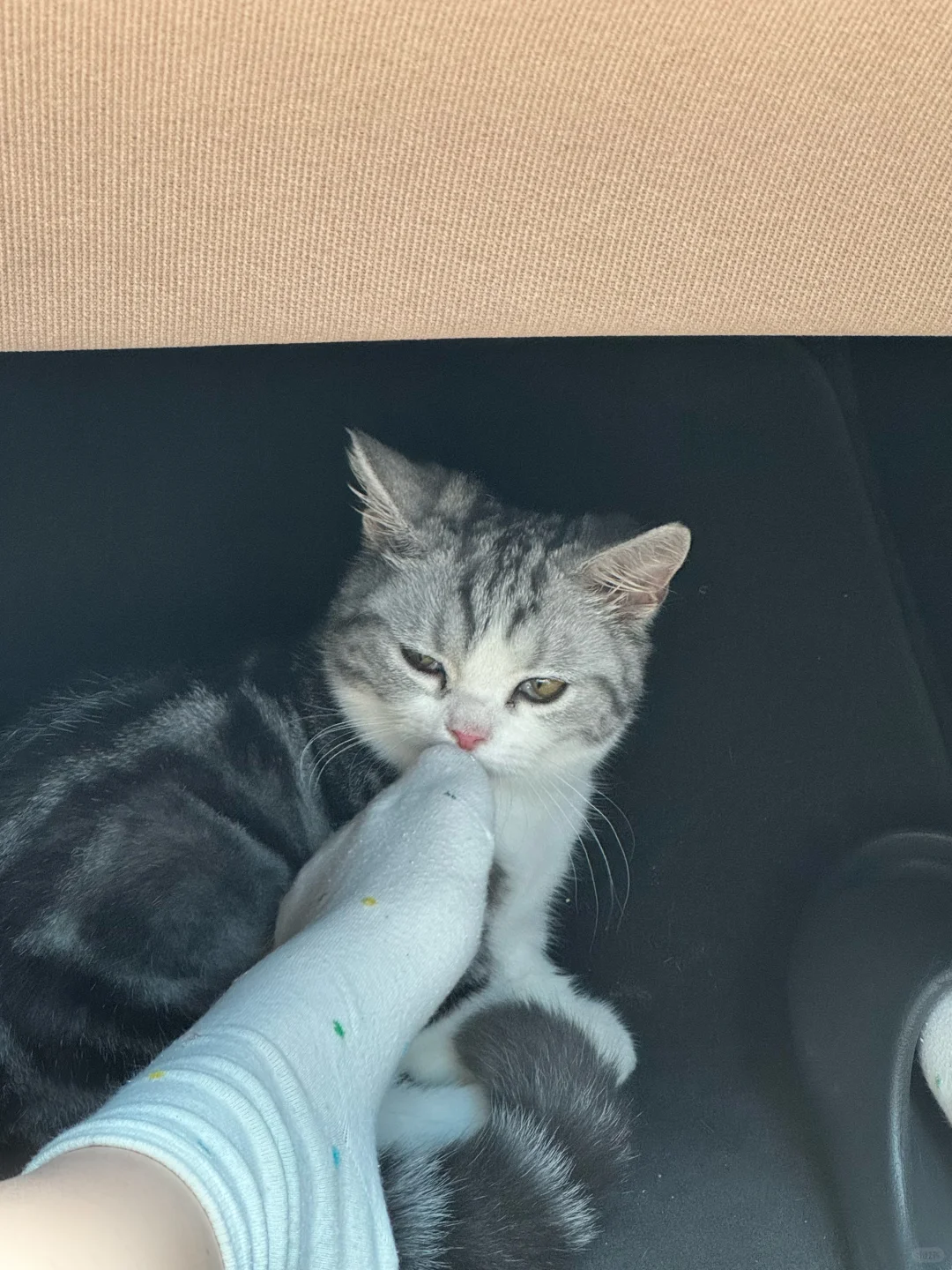 妈你就洗个脚吧