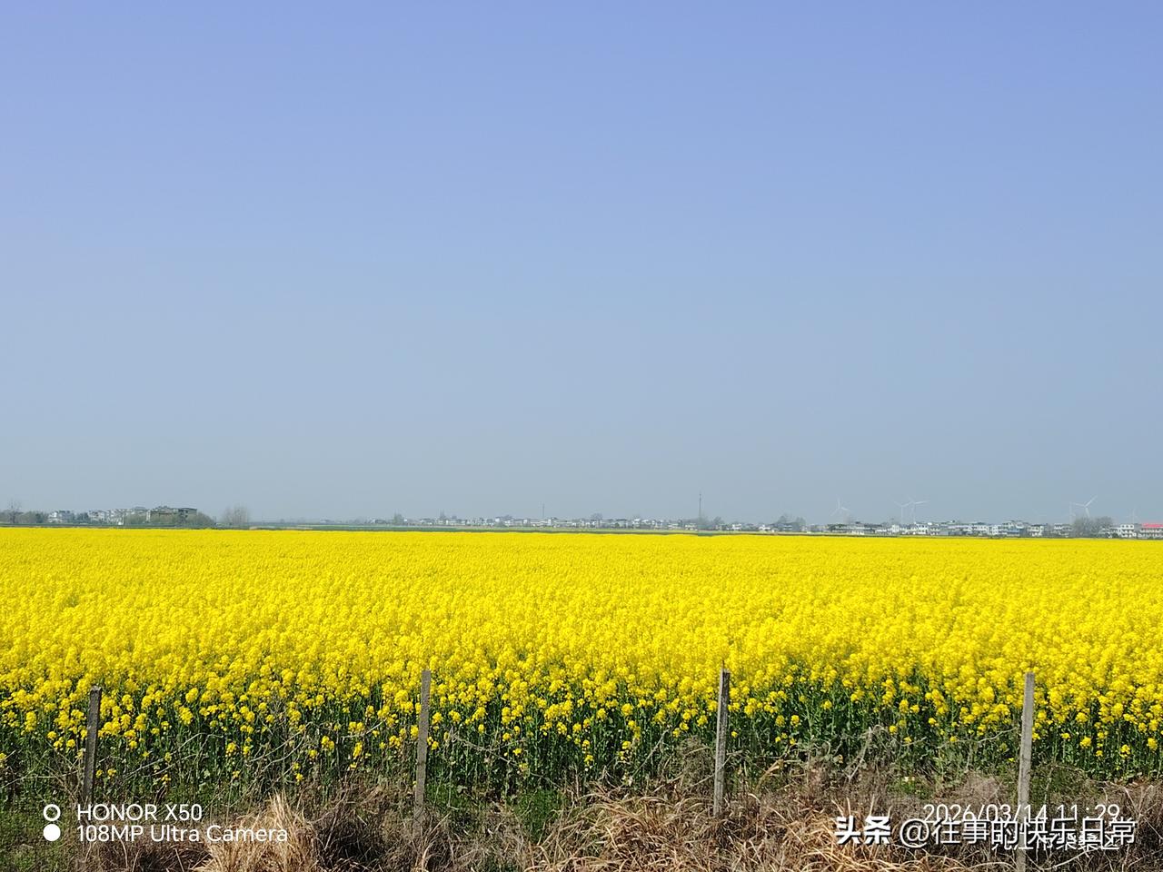 年轻人讨厌“爹味”是为什么感觉依附性比较强