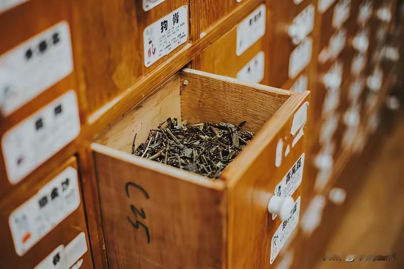 老祖宗几千年留下来的中药，怎么转手都成了日本的专利？一提这事，能把每一个中国人都
