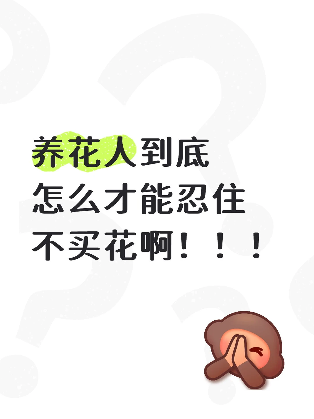 买了这个买那个。。