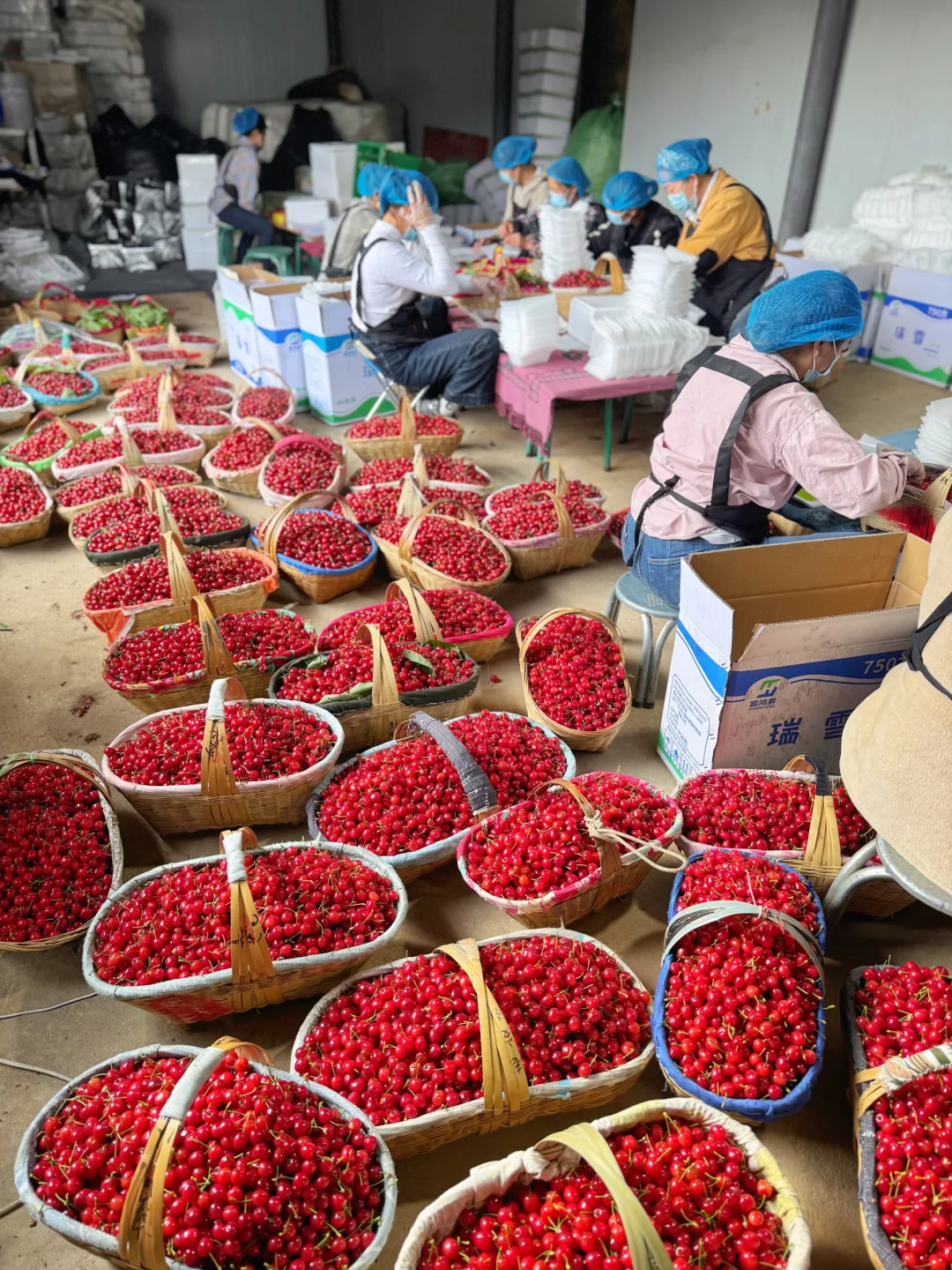 好害怕你们错过了，因为一年只能吃20天