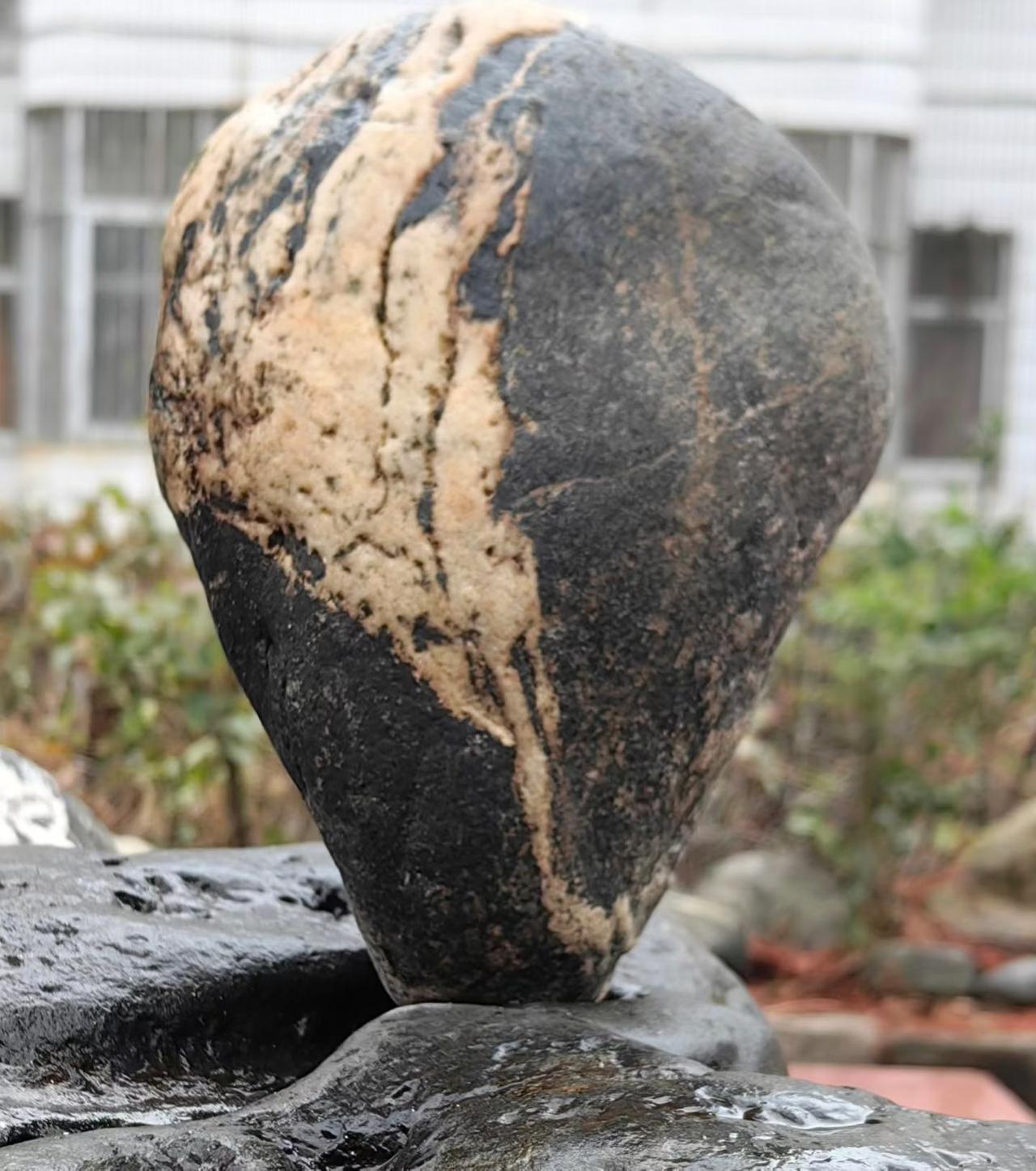 ​         —— 致返城的务工者
​
​        已记不清多少次了