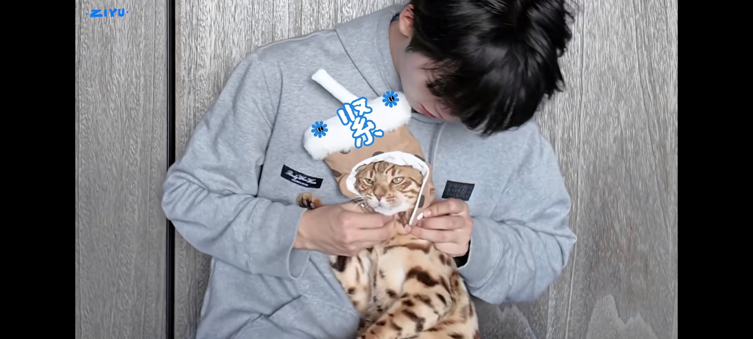 梓渝给小猫当造型师月月萌萌嘟，大鱼智商高 