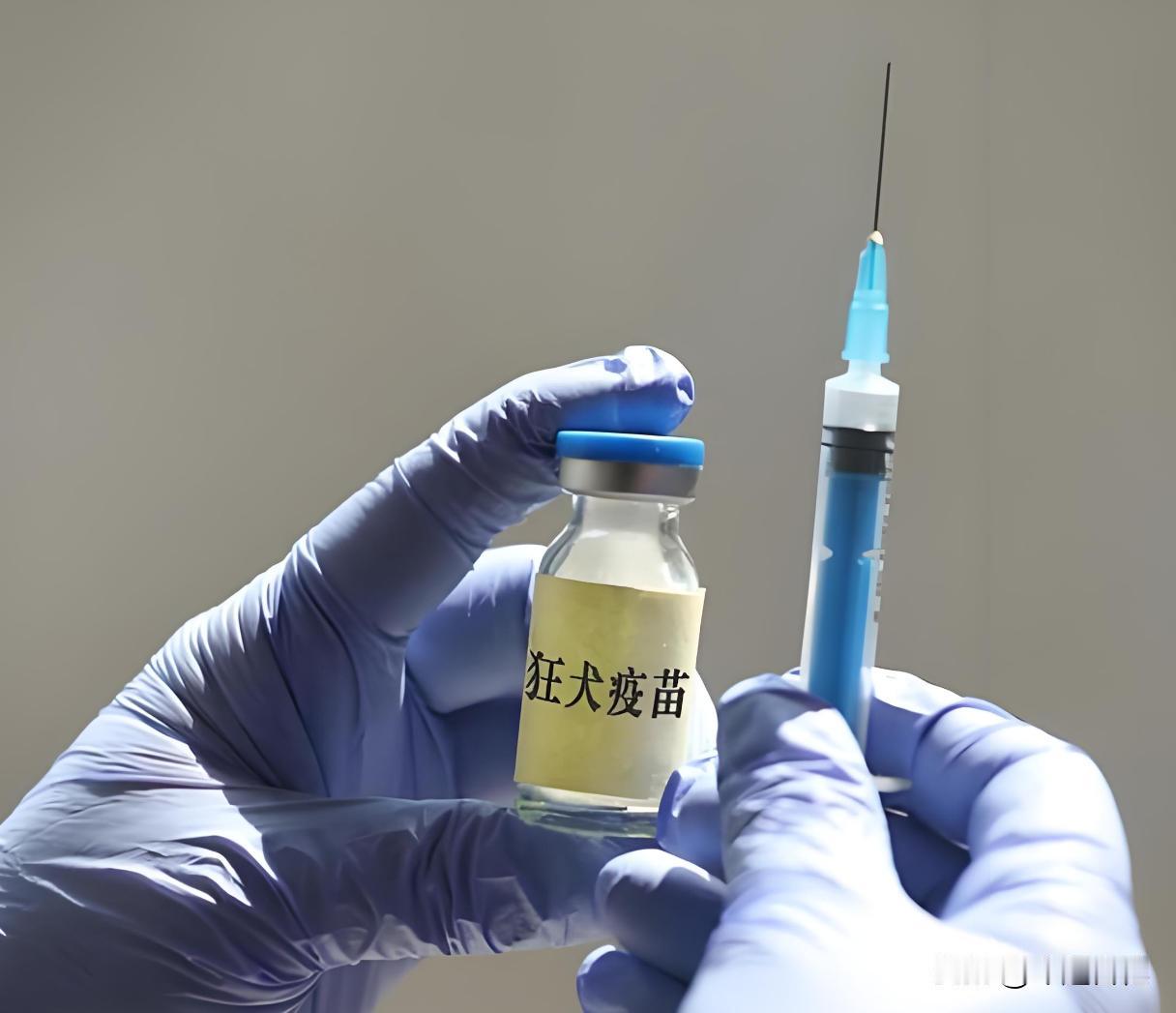 天天大喊大叫狗咬人，狗不咬人狂犬疫苗卖给谁？看到狗你不知道躲闪一下吗？从古到今狗