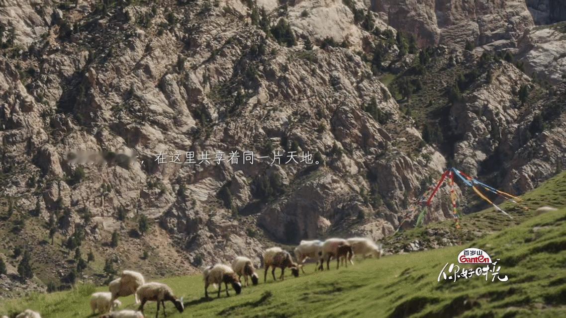 你好时光青海宣传片电影感你好时光 雨落草原，风声对白，镜头里全是高原的呼吸。正片
