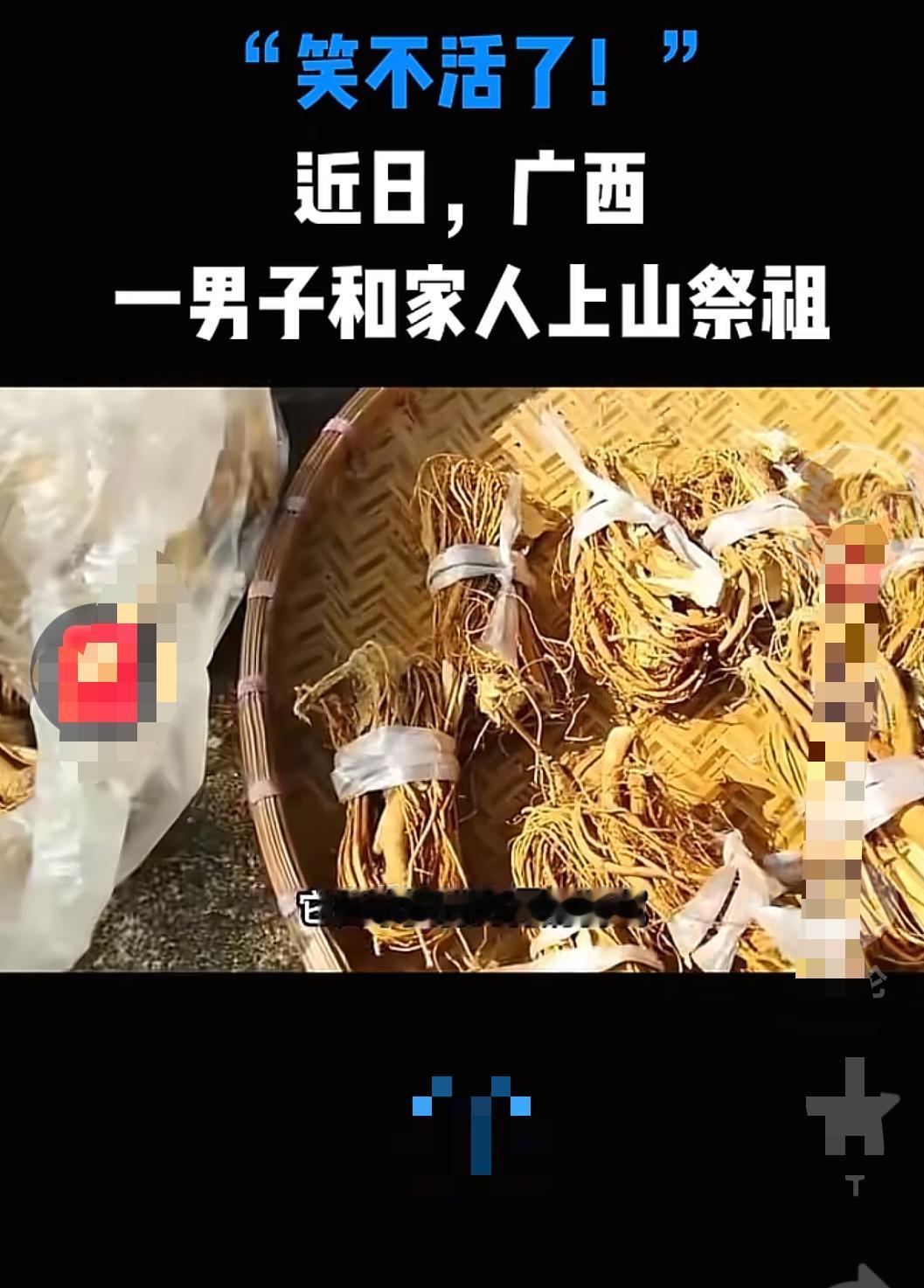 广西，男子一家人上山祭祖，可还没赶到目的地，没想到他们就停下脚步，原来他们在路上