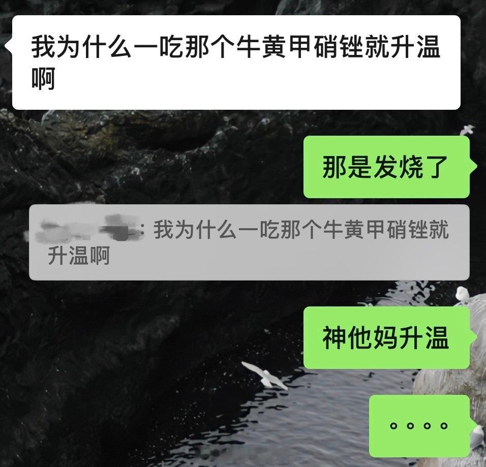这人说发烧是升温 