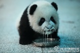 卫春爱看科技