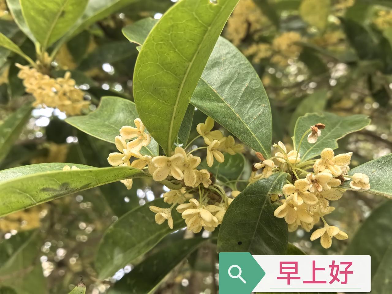 发一张图片，让我猜出你在哪里拍的