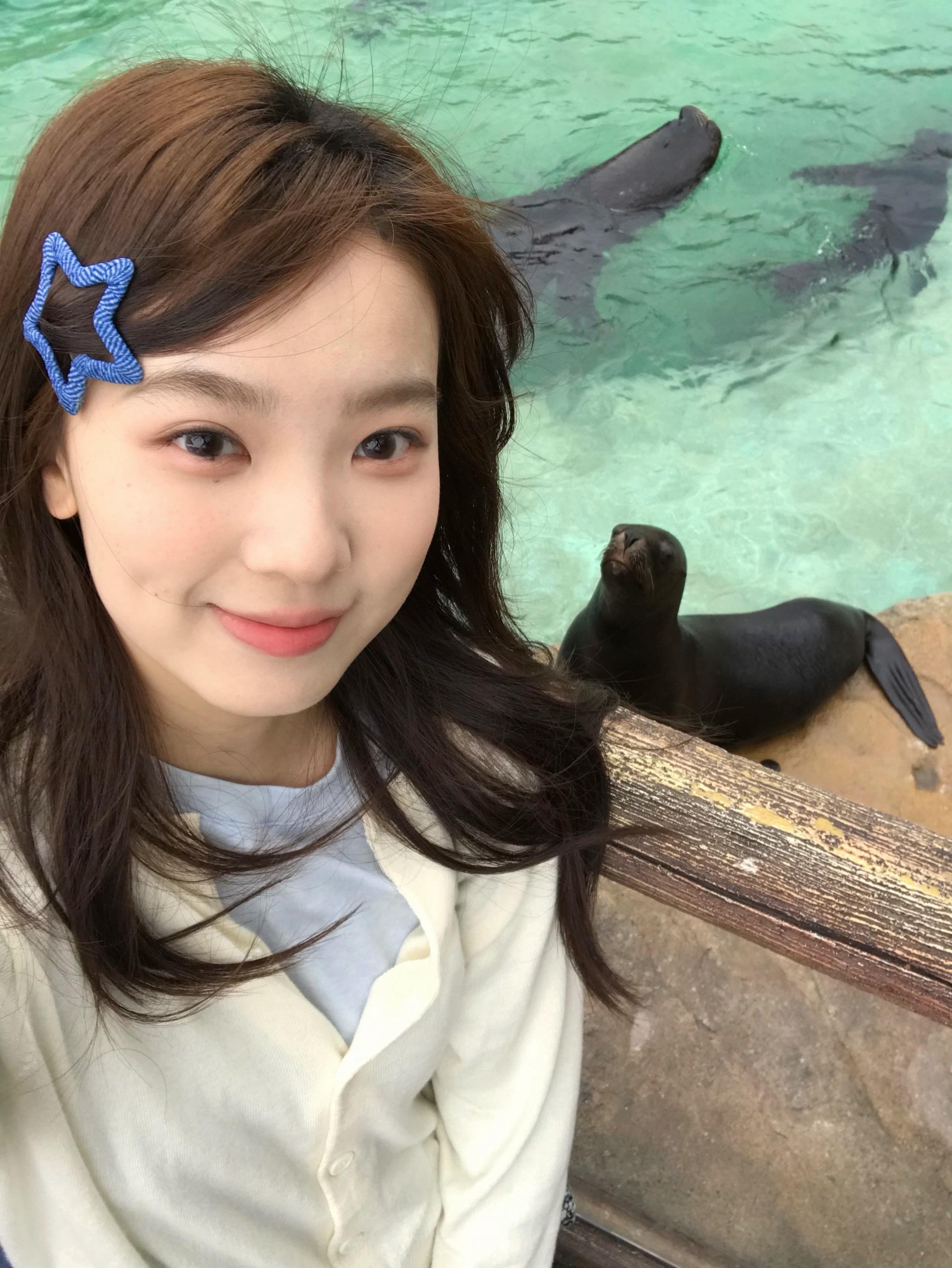 Hi 小海象