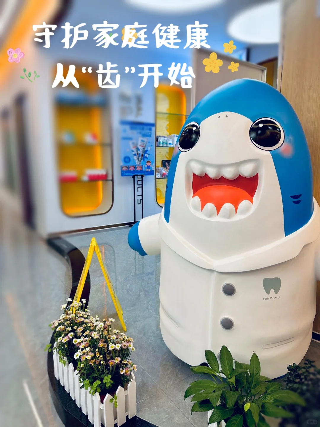 珠海｜守护家庭健康，从“齿”开始