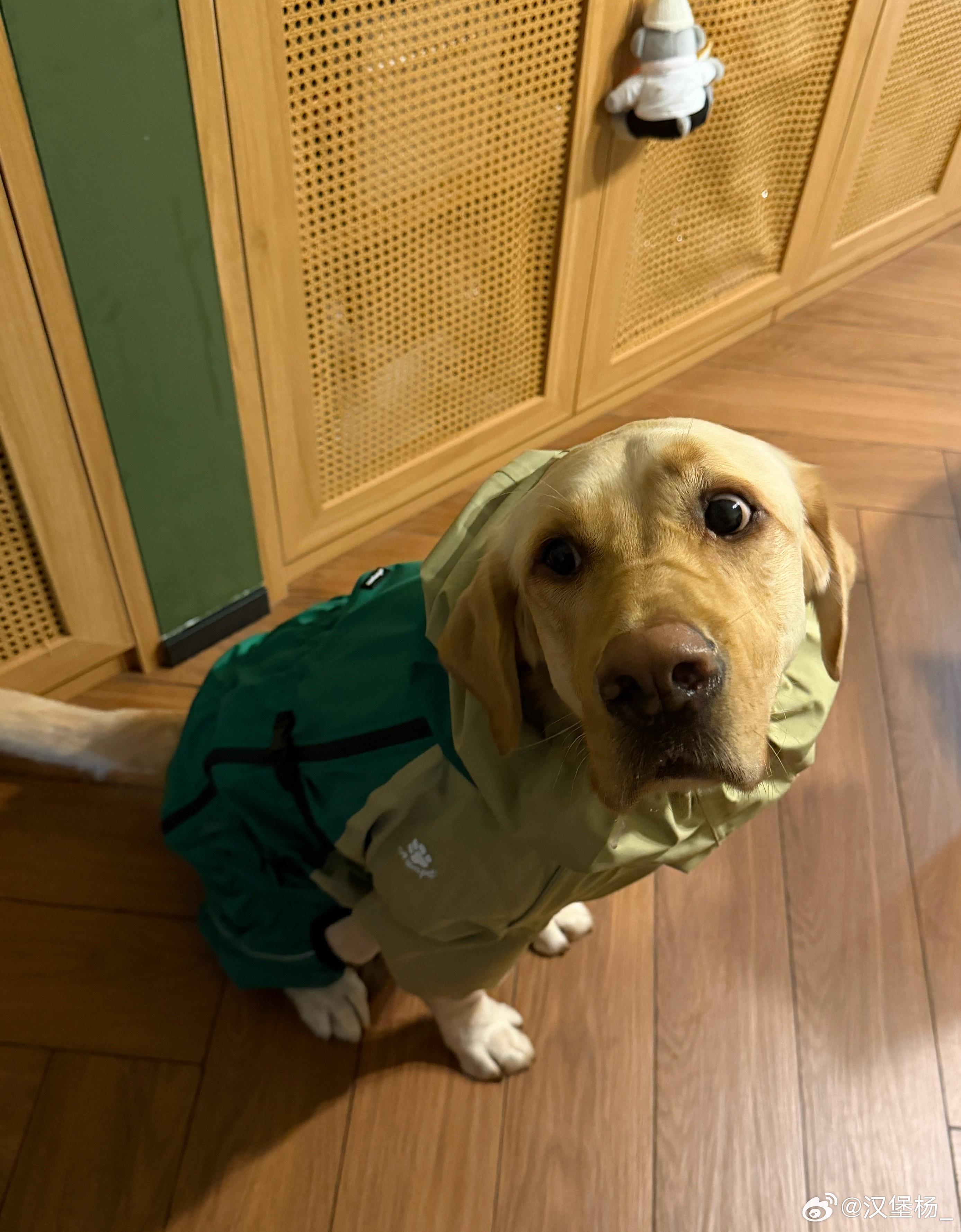 早准备开启一周的忙碌了又是大禹治水不回家的一周早上看到中信这个薪酬，羡慕了怪不得