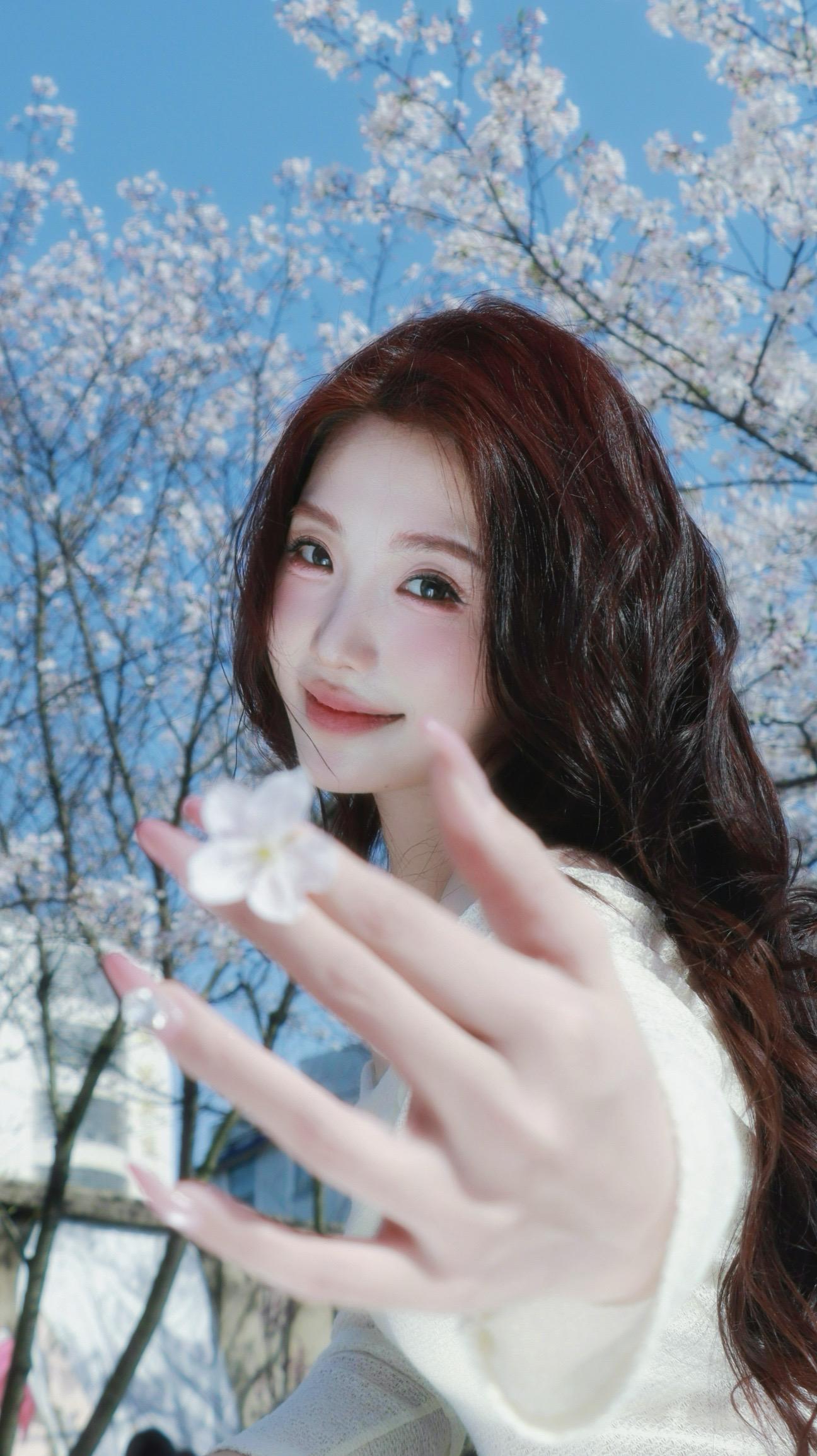 樱花树下站谁都美🌸