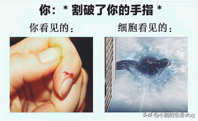 当你觉得天塌了的时候