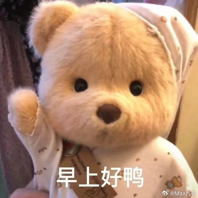 早上好，很内向，睡醒了不敢出被窝。 