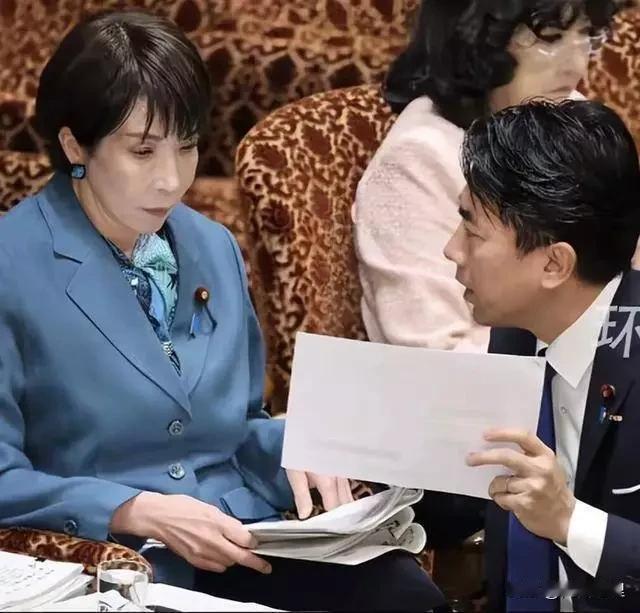 小泉一跪，跪出了日本政坛的“最高境界”！

日本国会这一幕真是绝了：小泉进次郎单