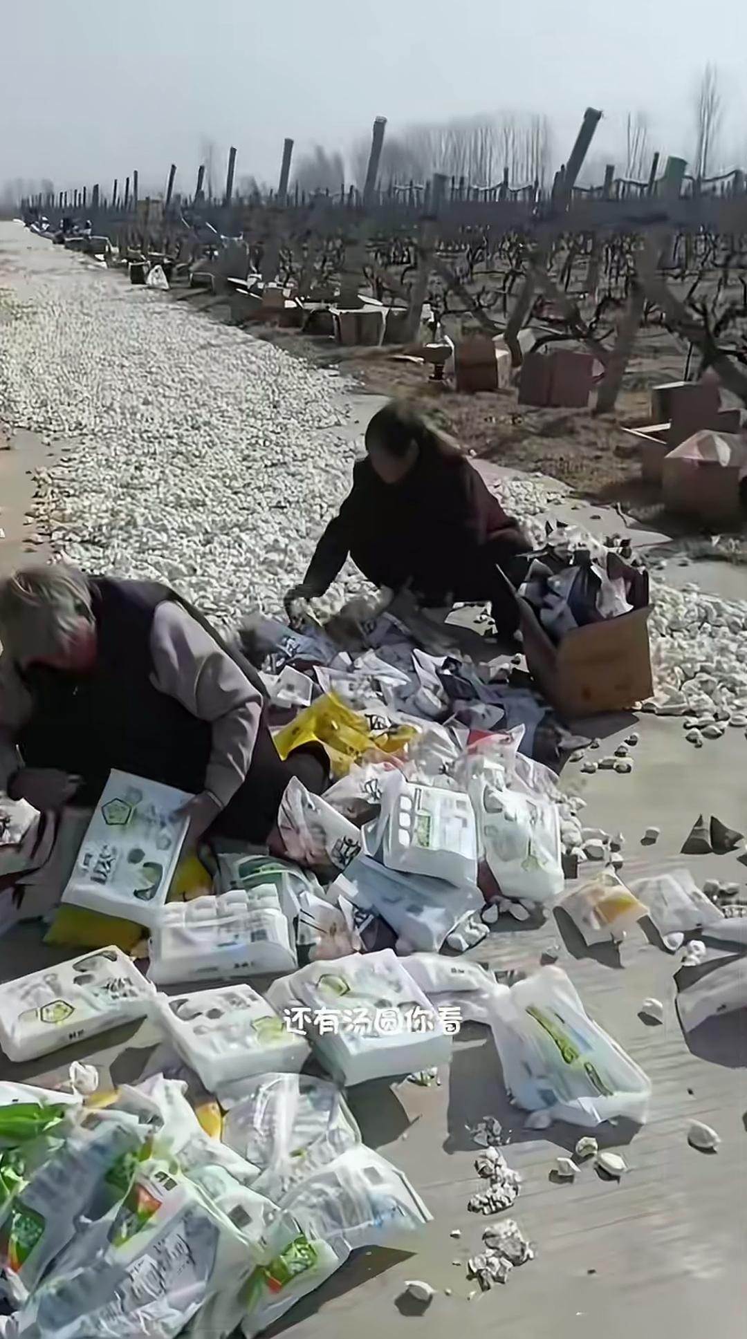 一段水泥路上满是拆了包装的水饺，这究竟是怎么回事呢？为何要将它们扔掉，是过期了吗